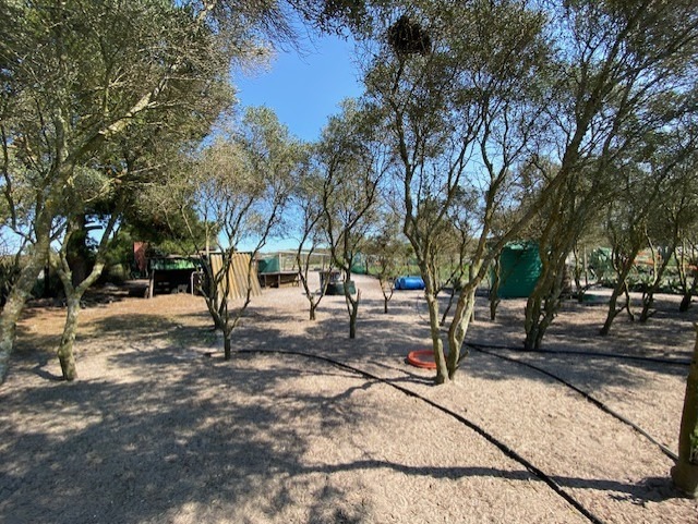 6 Bedroom Property for Sale in Hartebeesfontein Western Cape